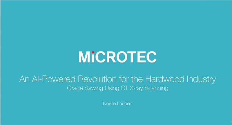 Webinar - An AI-Powered Revolution for the Industry: Grade Sawing Using CT X-Ray Scanning